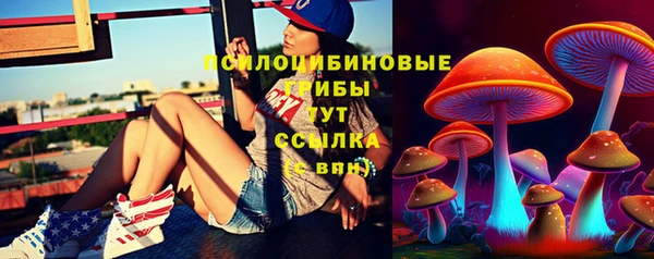 хмурый Алексин