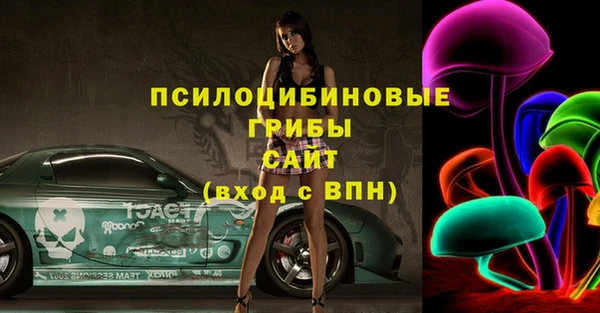 гашик Абинск