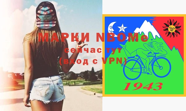 хмурый Алексин