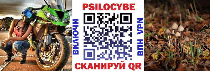 купить  цена  Среднеколымск  Галлюциногенные грибы GOLDEN TEACHER 